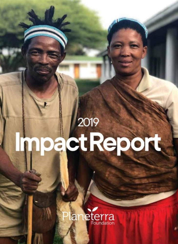 impact Report 2019
