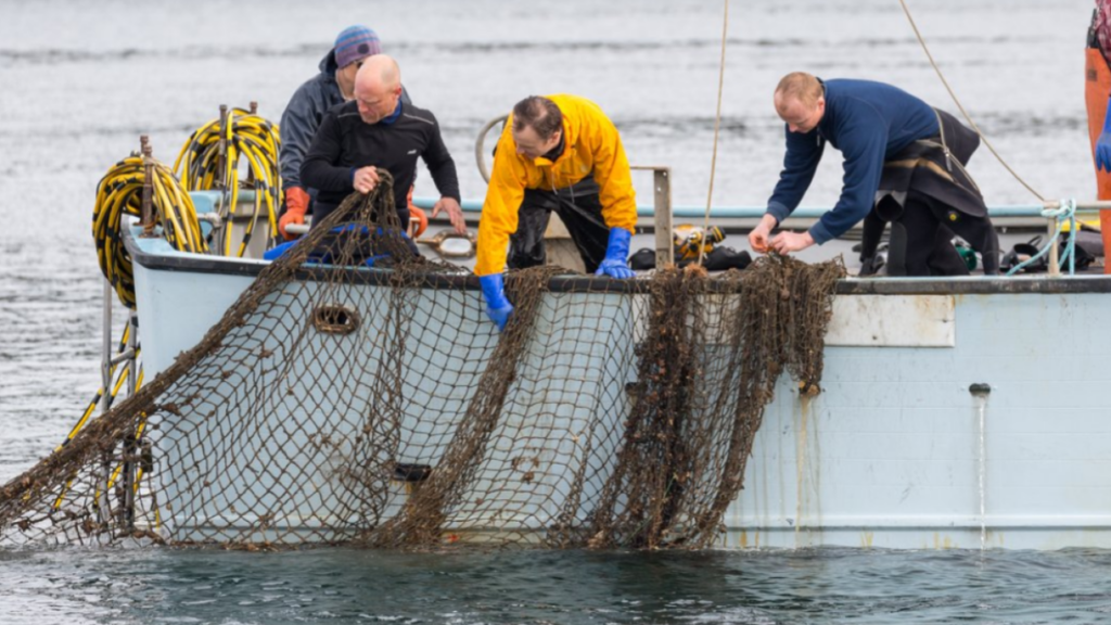 How the Global Ghost Gear Initiative is Making Waves in Marine Conservation